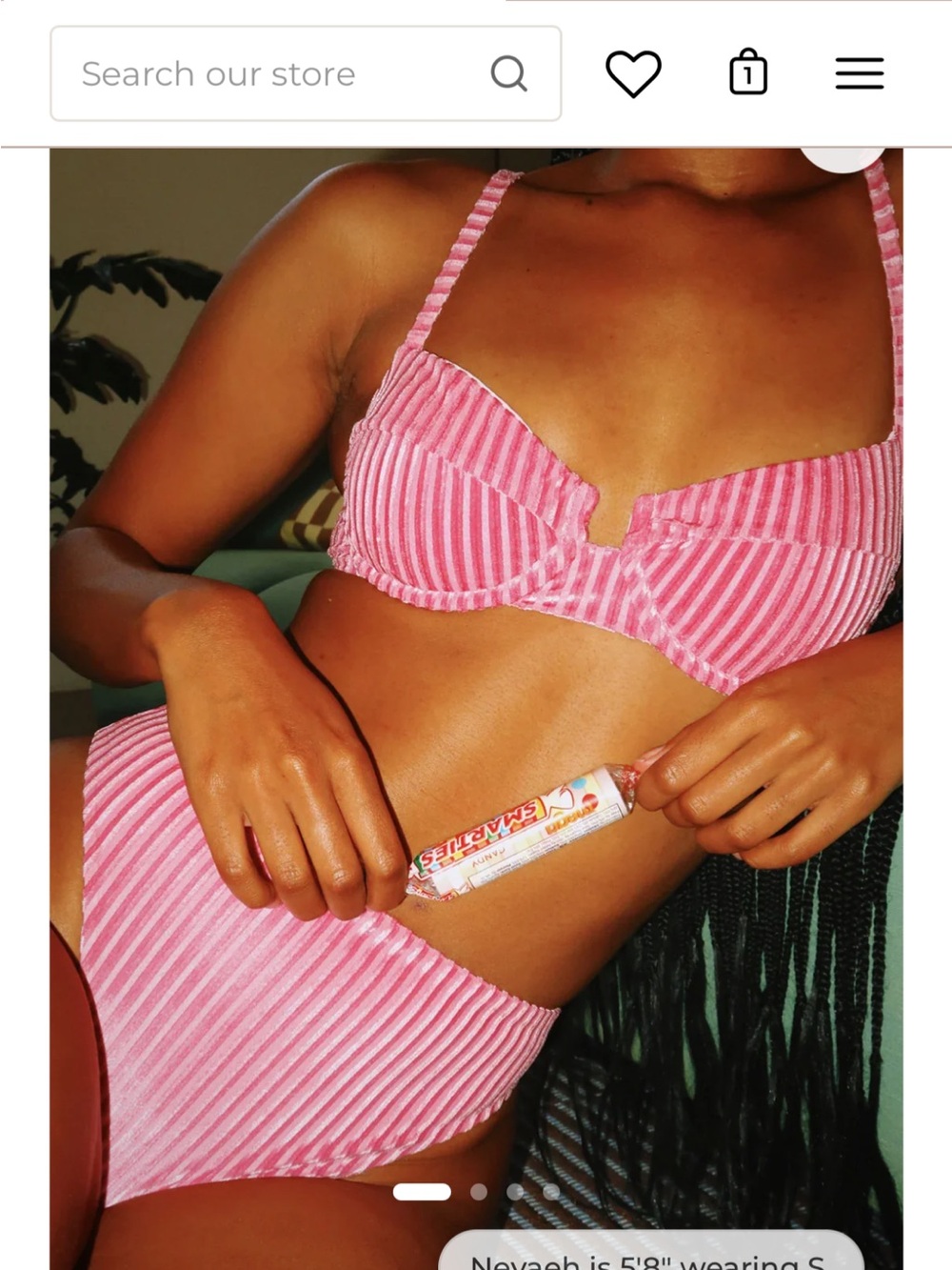 Dippin Daisys Seashore Cheeky High Waisted Bikini Bottoms